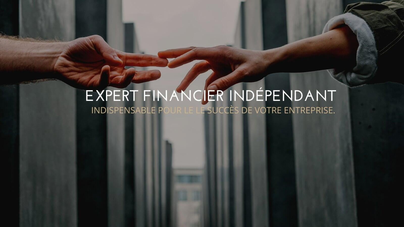 Un expert Financier indépendant joue le rôle Le Directeur Financier 